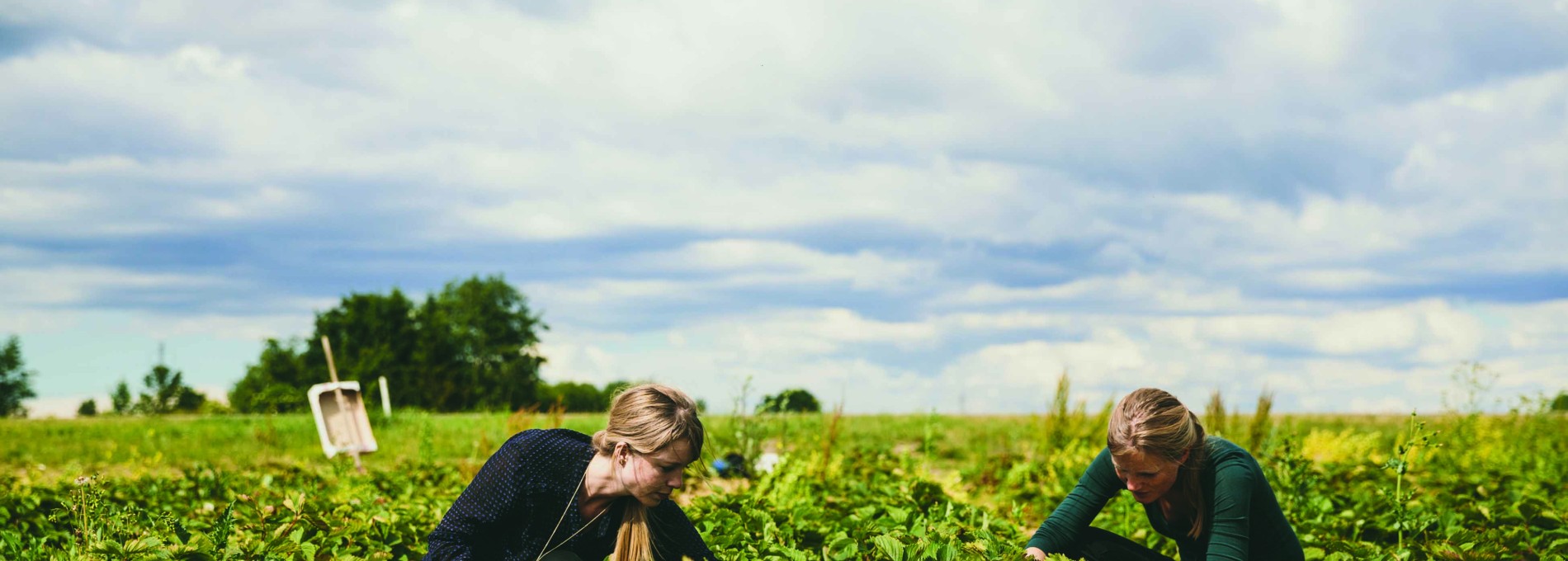 Modular Seasonal & Temporary Workers Ausco